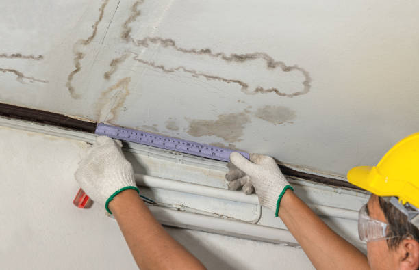 Reliable Mold Remediation contractor in Cumberland, RI by Local Water Damage Repair
